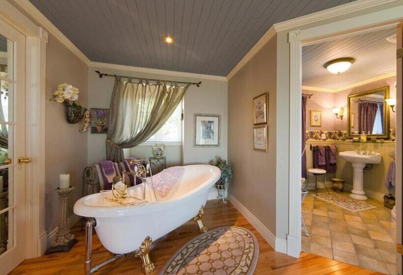 デラックススタジオ, Maison Victoria