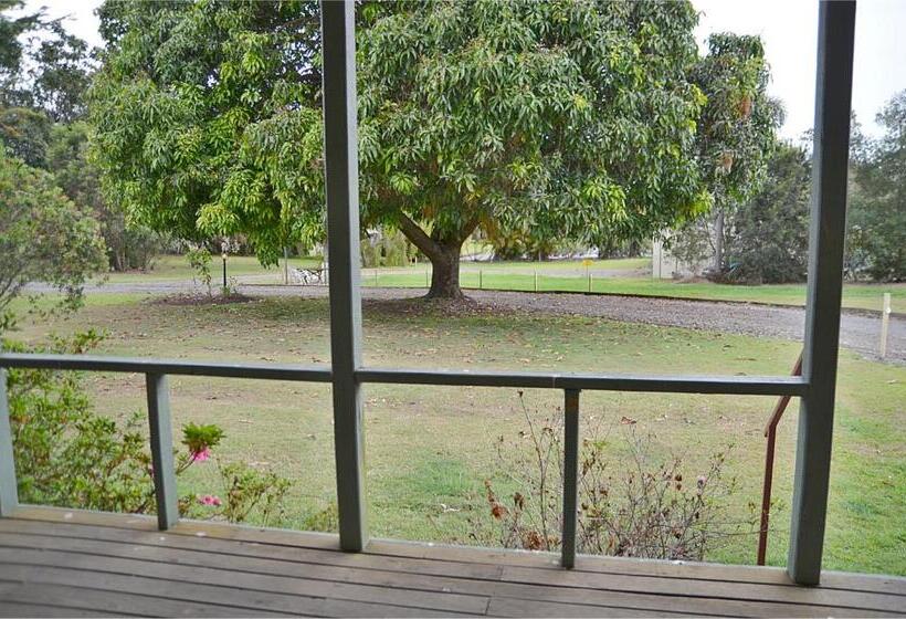 스탠다드 룸, Beerwah Glasshouse Motel