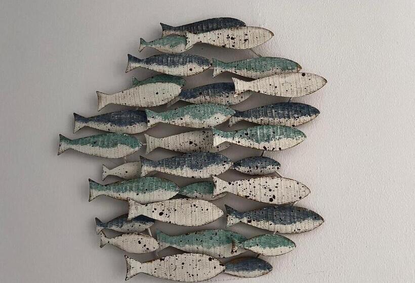 经济房, Acquamarina