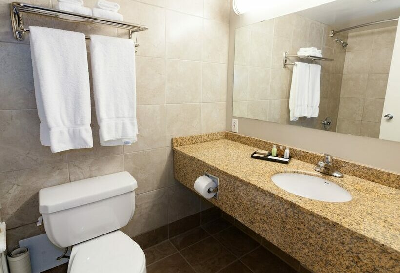 스탠다드 룸 더블 침대 2개, Bcminns  Lloydminster