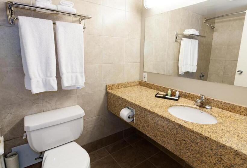 스탠다드 룸, Bcminns  Lloydminster