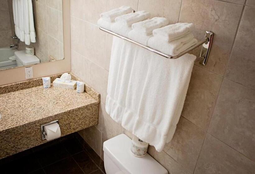 스탠다드 룸, Bcminns  Lloydminster