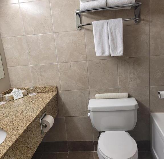 스탠다드 룸 더블 침대 2개, Bcminns  Lloydminster