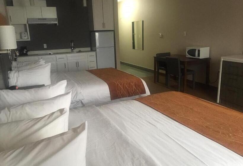 סוויטה, Southfort Inn