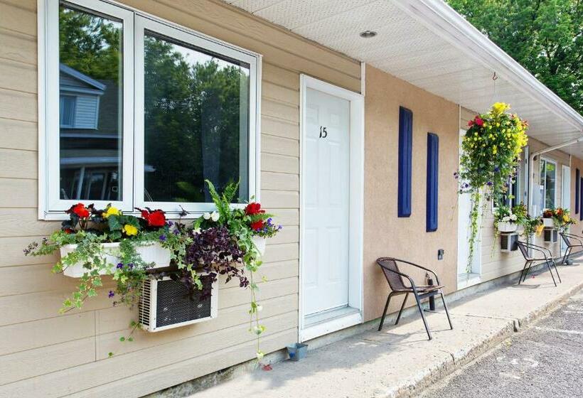 اتاق استاندارد, Motel Homeric