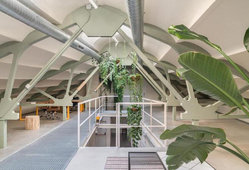 اتاق استاندارد, Ola Living Hostal Tetuan