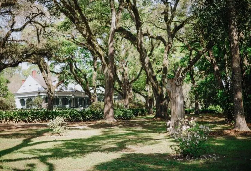 スタンダードルーム, The Myrtles