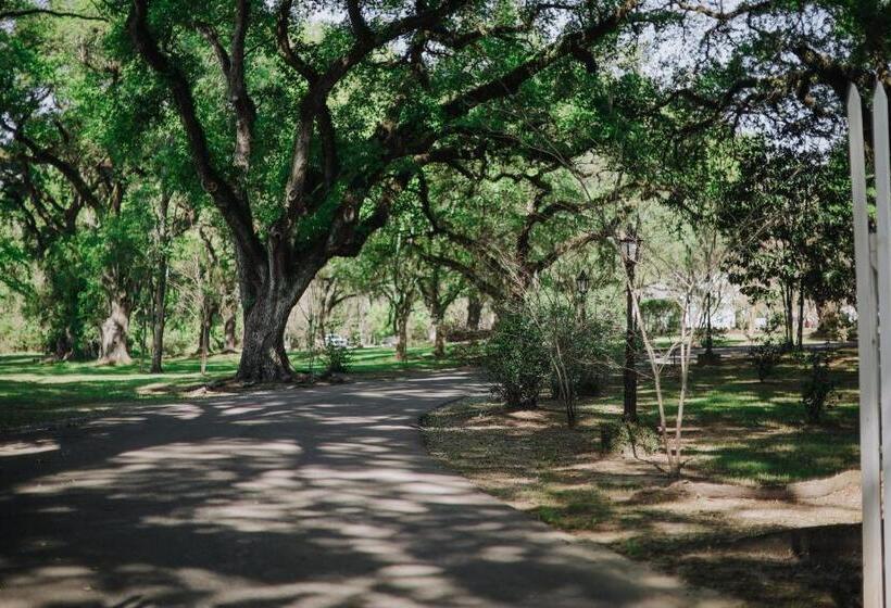 غرفة قياسية, The Myrtles