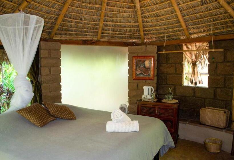 家庭间, Yolitia Wellness