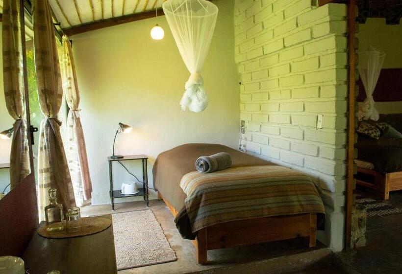 בקתה סטנדרטית, Yolitia Wellness