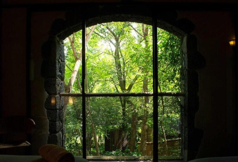 וילה בת 3 חדרי שינה, Yolitia Wellness