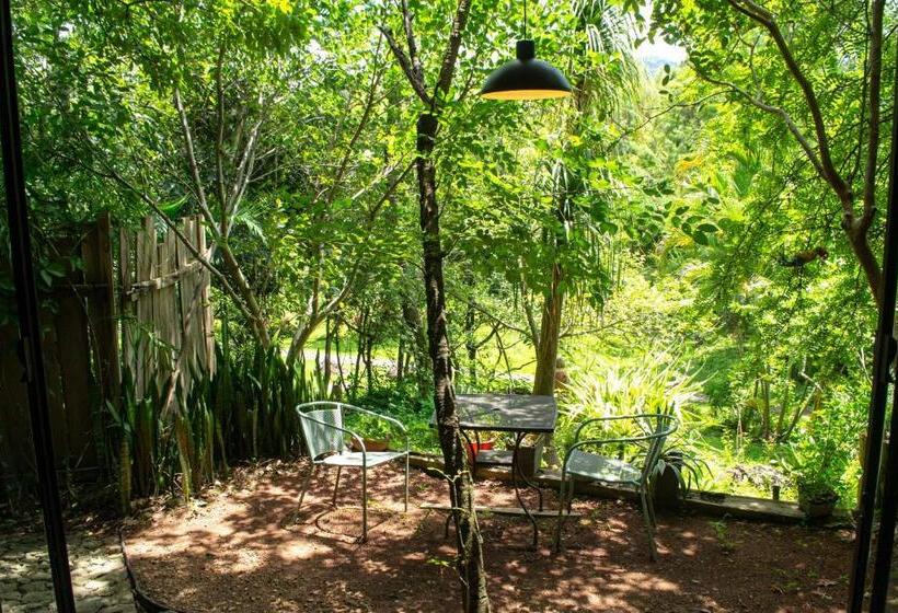 חדר סטנדרט, Yolitia Wellness