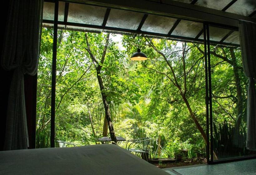 Номер Стандарт, Yolitia Wellness