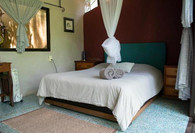 חדר סטנדרט, Yolitia Wellness