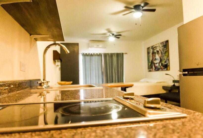 إستوديو قياسى سرير كينج, Cerritos Beach Hotel Desert Moon