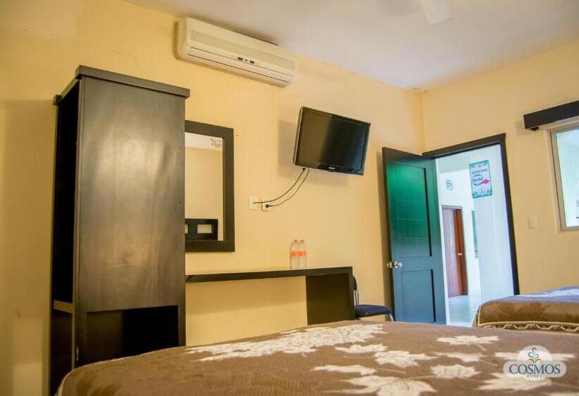 高级大房间, Cosmos