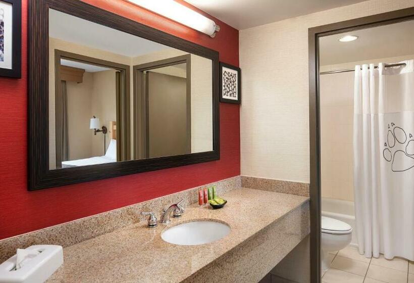 جناح ديلوكس, Great Wolf Lodge New England