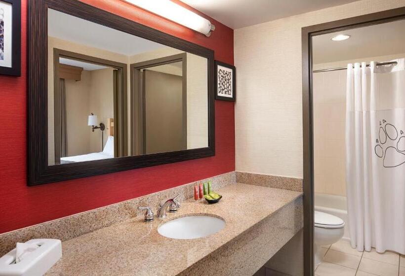 جناح جونيور, Great Wolf Lodge New England