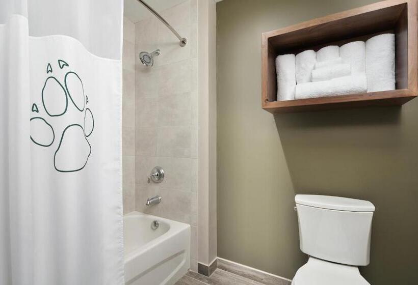 غرفة قياسية سرير كينج, Great Wolf Lodge New England