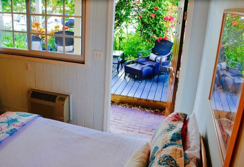 غرفة ديلوكس, Sea Turtle Inn