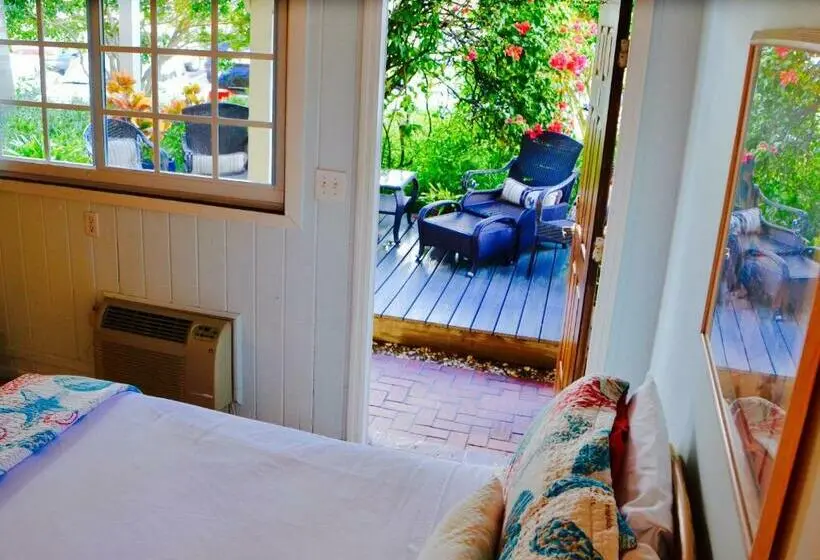 デラックスルーム, Sea Turtle Inn