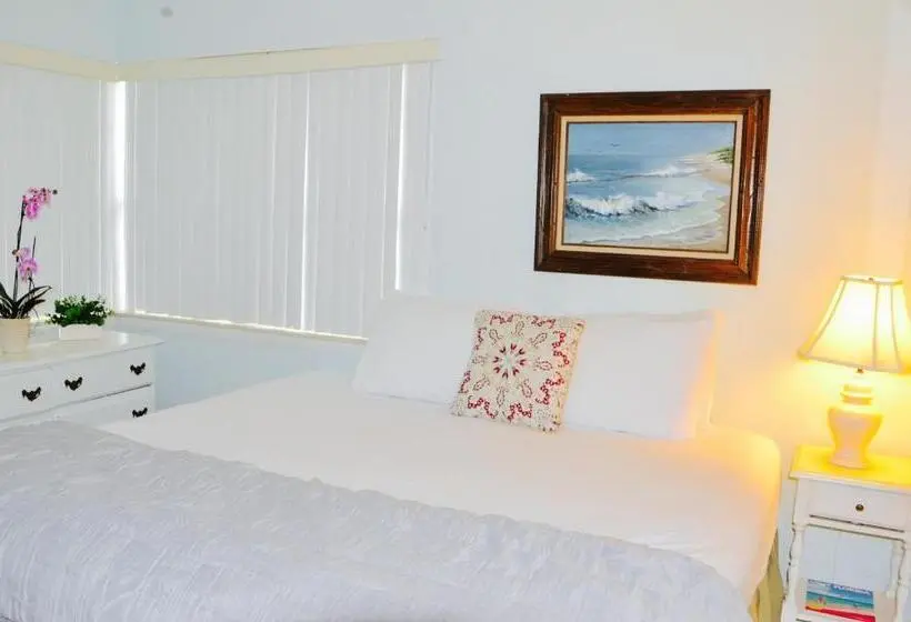 １ベッドルームアパートメント, Sea Turtle Inn