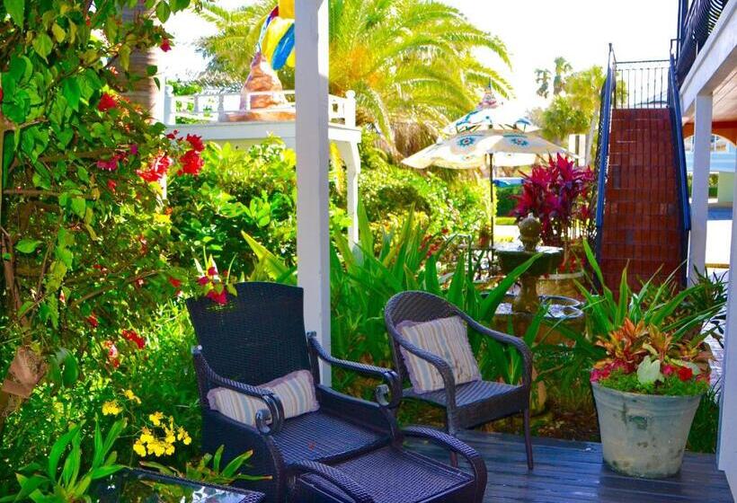 غرفة ديلوكس, Sea Turtle Inn