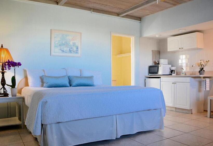 스탠다드 스튜디오 킹침대, Sea Turtle Inn