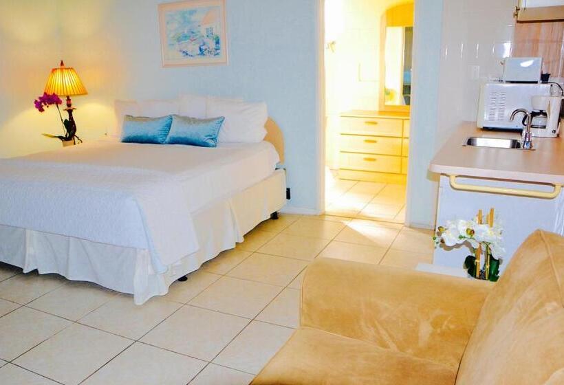 Студио Стандарт Кровать Кинг, Sea Turtle Inn