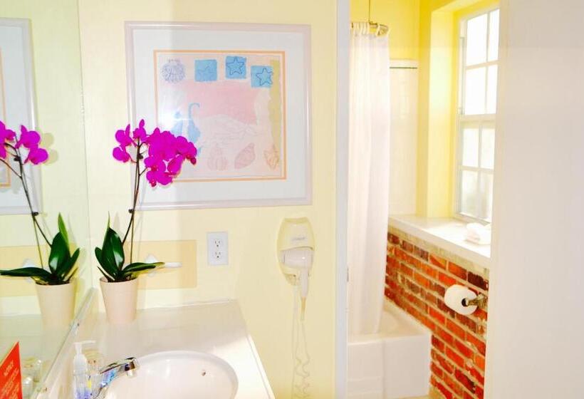 스탠다드 스튜디오 킹침대, Sea Turtle Inn