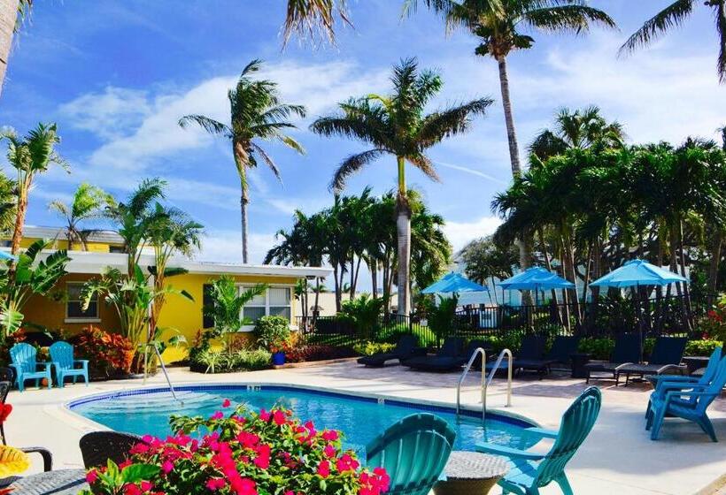 شقة غرفة نوم واحدة بالطابق الأرضى, Sea Turtle Inn