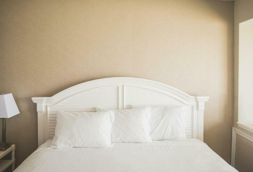 غرفة قياسية, Surf Club Oceanfront