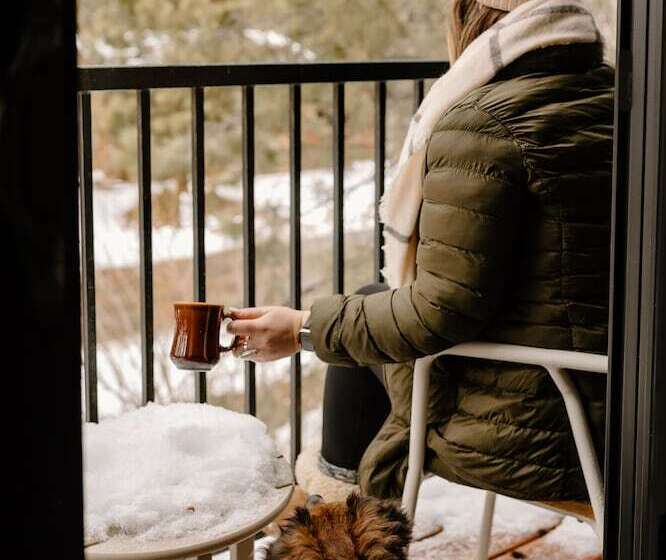 סוויטת 3 חדרי שינה, The Coachman