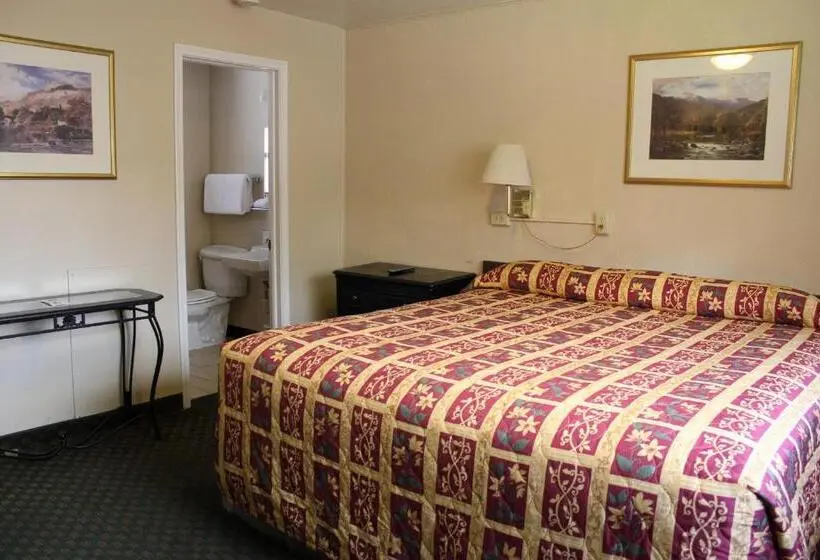 Standard Yhden Hengen Huone, Lava Spa Motel & Rv
