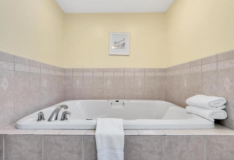 キングサイズベッドのスタンダードルーム, Abellona Inn & Suites