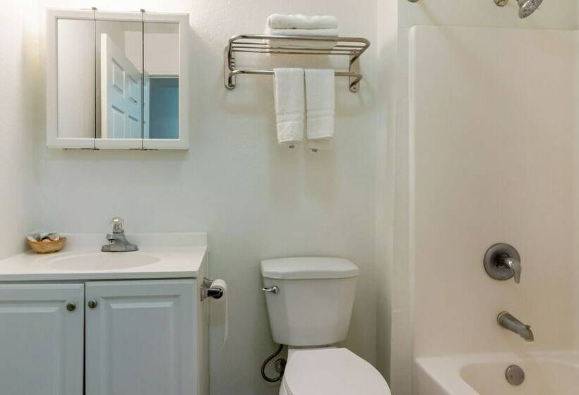 高级客房, OYO Hotel Pearsall I-35 East