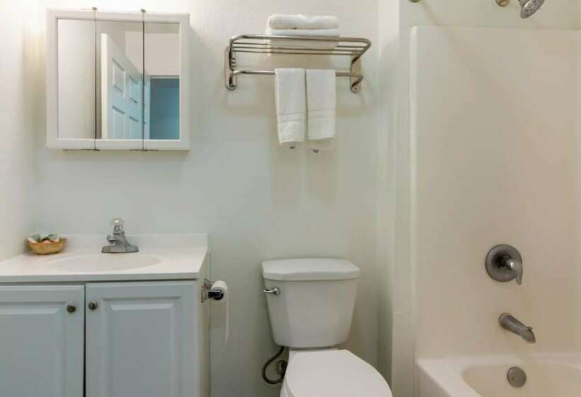 高级客房, OYO Hotel Pearsall I-35 East