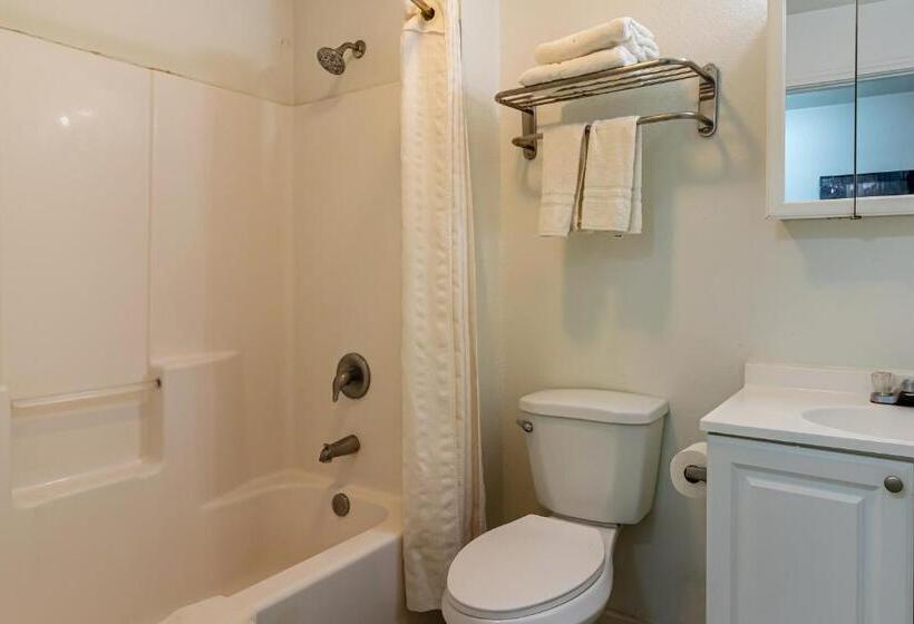 Номер Стандарт, OYO Hotel Pearsall I-35 East