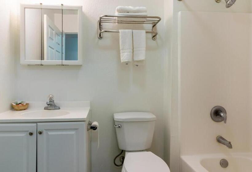 Номер Премиум, OYO Hotel Pearsall I-35 East
