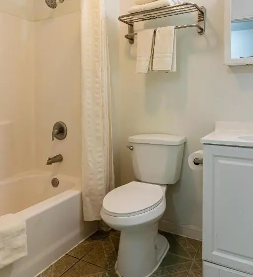 身障者適用シングルルーム, OYO Hotel Pearsall I-35 East