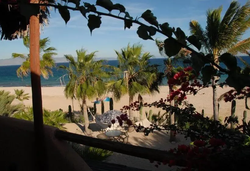 スーペリアールーム, Ventana Bay Resort