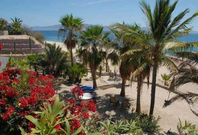 スーペリアールーム, Ventana Bay Resort