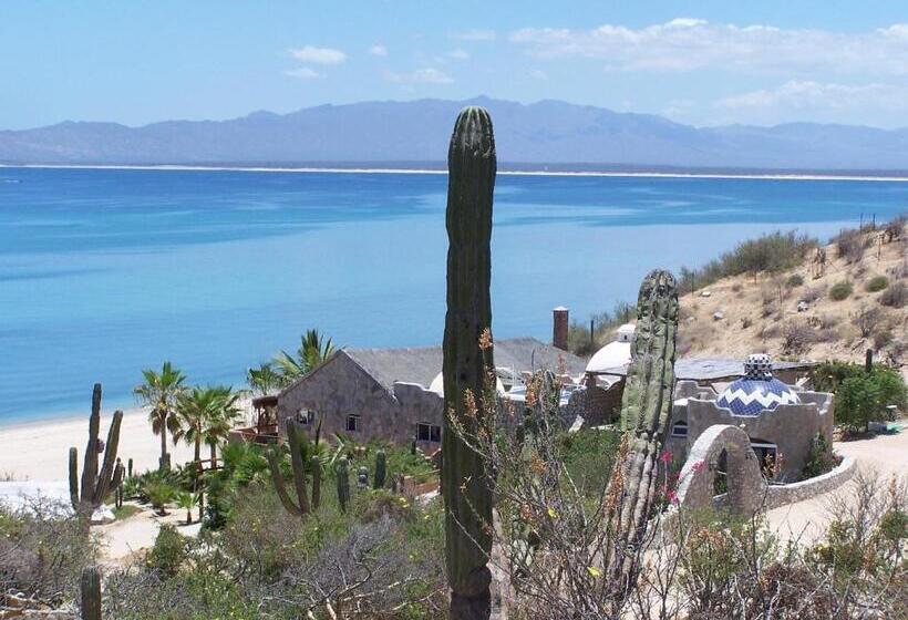 스탠다드 룸 가든 전망, Ventana Bay Resort