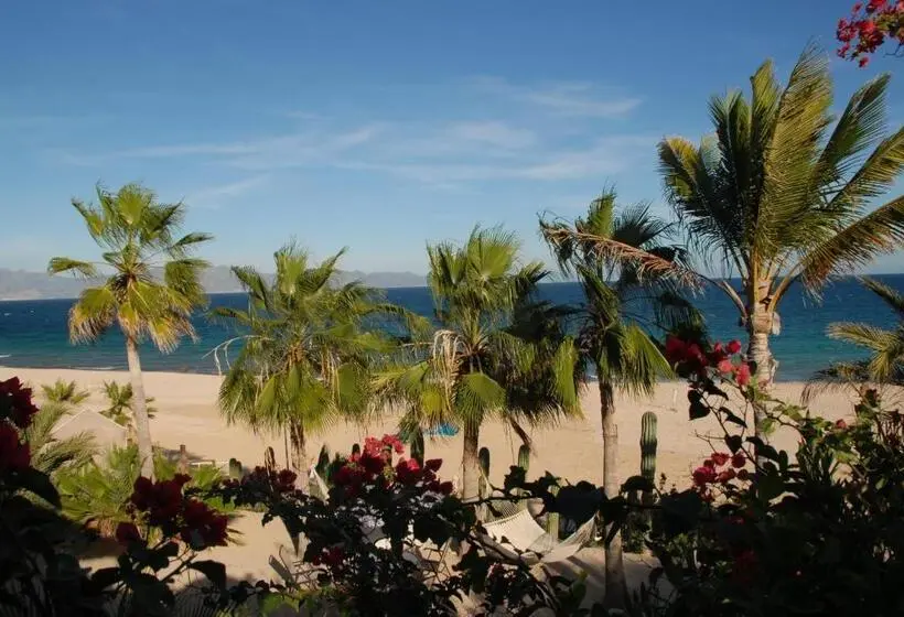 オーシャンビューのスタンダードバンガロー, Ventana Bay Resort