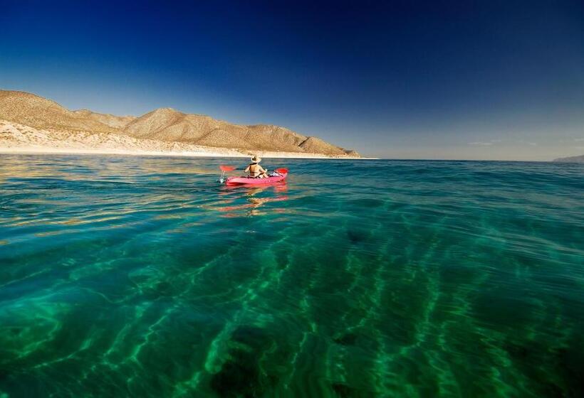 بنجلو قياسى مطل على البحر, Ventana Bay Resort