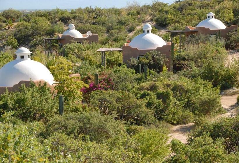 بنجلو قياسى مطل على البحر, Ventana Bay Resort