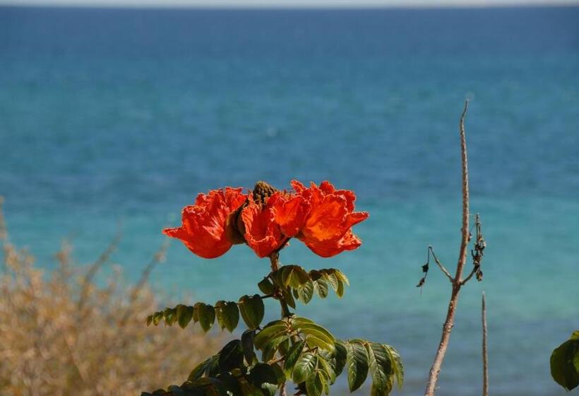 بنغل سوبيريور مطل على البحر, Ventana Bay Resort