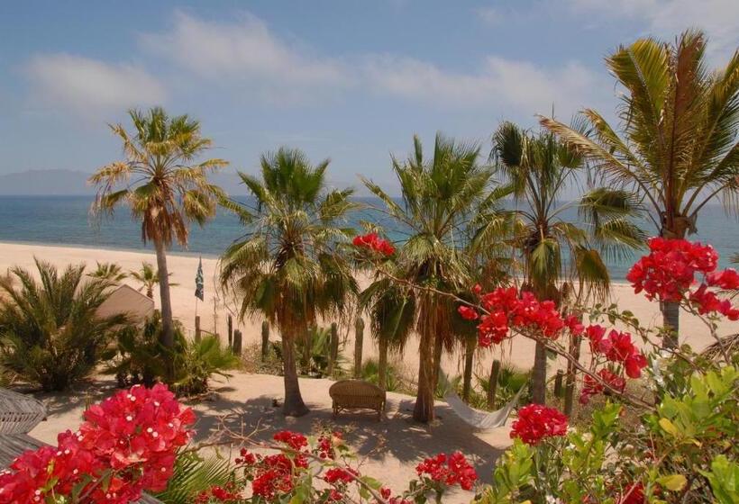 بنغل سوبيريور مطل على البحر, Ventana Bay Resort