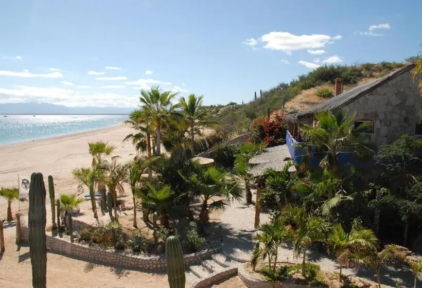 クラシックルーム, Ventana Bay Resort
