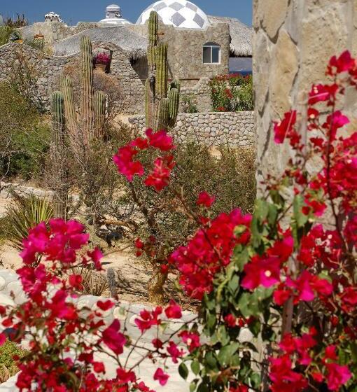 스탠다드 룸 바다 전망, Ventana Bay Resort